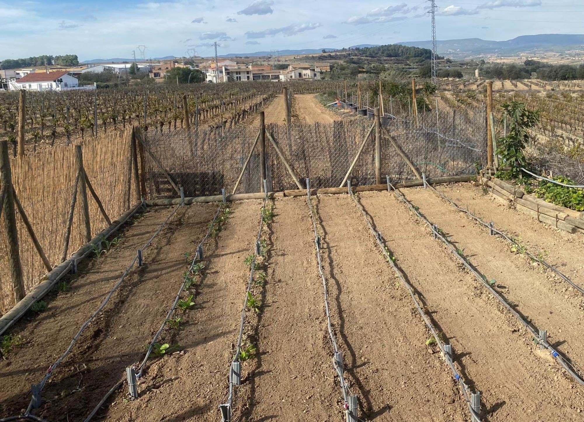Cal Castla Villa La Granada ภายนอก รูปภาพ